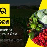 Feminisation of Agriculture in Odia