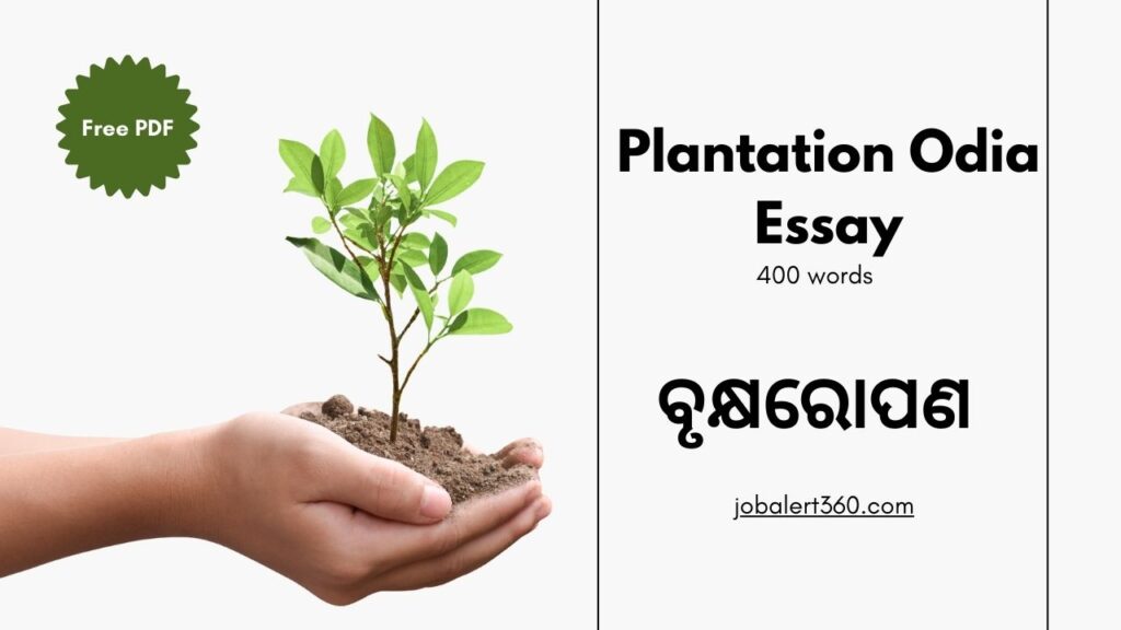 Plantation Odia Essay
