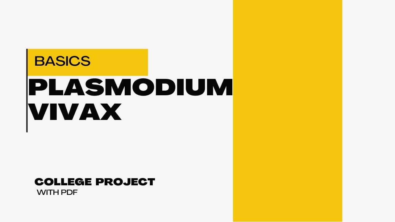 Plasmodium Vivax College Project
