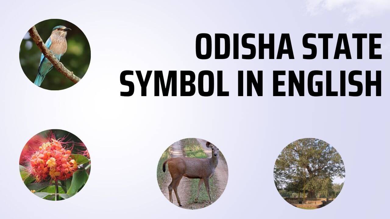 Odisha State Symbol in English