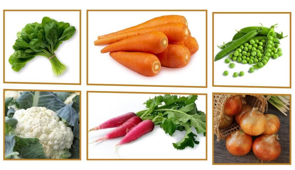 6 Colorful Winter Vegetables in One Image